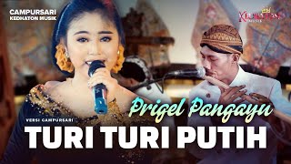 Prigel Pangayu - Turi Turi Putih - Kedhaton Musik Campursari (Official Music Video)