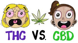 THC vs CBD: What's In Your Weed?