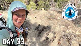 Day 33| We Split Up After 400 Miles | Pacific Crest Trail Thru Hike