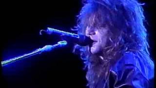 Bon Jovi - Never Say Goodbye (acoustic / Santiago 1990)