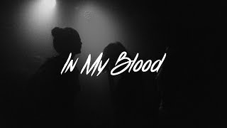 Shawn Mendes - In My Blood Lyrics (Acoustic)