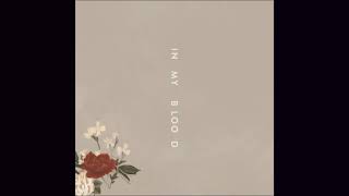 Shawn Mendes – In My Blood (Download Link) (Audio Only)