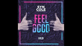 Syn Cole - Feel Good (Extended Mix) [NCS Release]