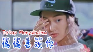 Pian Pian Xi Huan Ni  偏偏喜欢你 Lagu Mandarin Subtitle Indonesia - Lirik Terjemahan
