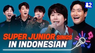 SUPER JUNIOR sings in IndonesianㅣSorry Sorry, Mr.Simple, 2YA2YAO!ㅣTry-lingual Live