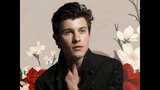 Shawn Mendes - In My Blood [MP3 Free Download]
