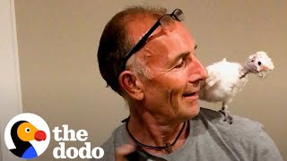 30-Year-Old Bird Is Determined For Dad To Love Her | The Dodo