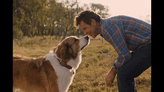 Phillip Phillips - Gone, Gone, Gone(From the movie A Dog's Journey)
