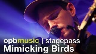 Mimicking Birds -  Performance and Interview (opbmusic)