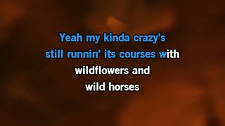 Lainey Wilson - Wildflowers And Wild Horses [Karaoke Version]