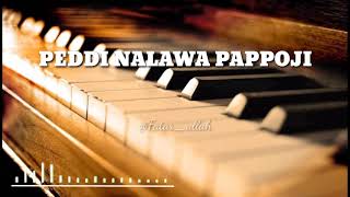 Lagu Bugis-Peddi Nalawa Pappoji