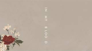 Shawn Mendes "In My Blood" (Audio)