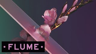 Flume - Never Be Like You feat. Kai