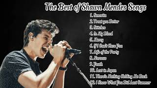 The Best of Shawn Mendes Songs