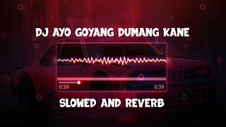DJ AYO GOYANG DUMANG SLOWED + REVERB KANE || VIRAL TIKTOK 2023 || COCOK BUAT GAMEPLAY!