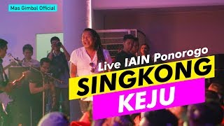 Singkong Keju - Bill Broad Live Perform Reggae by MAS GIMBAL OFFICIAL