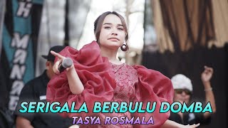SERIGALA BERBULU DOMBA - TASYA ROSMALA DK MUSIK LIVE MRANGGEN JATENG | WEDDING RAHAYU & RAHMAD |