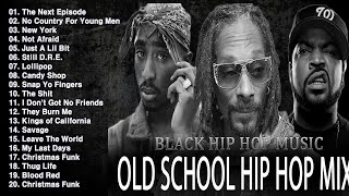 OLD SCHOOL HIP HOP MIX 🔥🔥🔥 Snoop Dogg, Dr Dre, Eminem, The Game, 50 Cent, 2PAC, DMX, Lil Jon,...