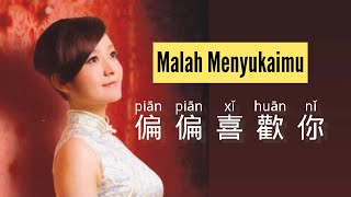 Pian Pian Xi Huan Ni - 偏偏喜歡你 - Zhou Hong (周虹) - Malah Menyukaimu - Lagu Mandarin Subtitle Indonesia