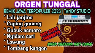ORGEN TUNGGAL- REMIX JAWA TERPOPULER 2023 COVER TANDY STUDIO - Lali janjine, Gubuk asmoro, Lewung,