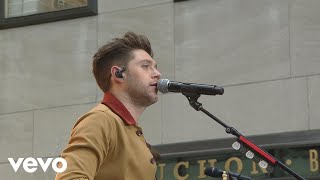 Niall Horan - Too Much To Ask (Live On The Today Show)