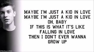 Shawn Mendes - Kid In Love (with Lyrics) [studio version]