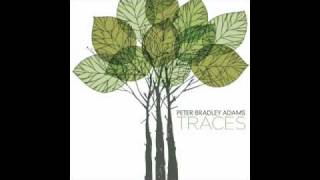 I Won't- Peter Bradley Adams