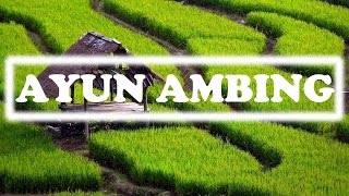 [AYUN AMBING] SUNDANESE INSTRUMENTALIA | DEGUNG SUNDA | INDONESIAN TRADITIONAL MUSIC