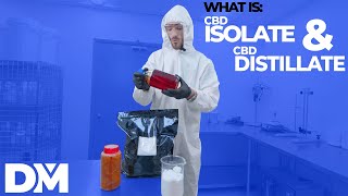 What is CBD Distillate and CBD Isolate?