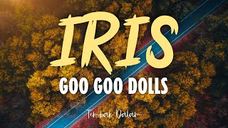 Iris - Goo Goo Dolls (Lirik Lagu dan Terjemahan)