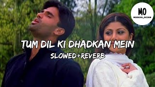 Tum Dil Ki Dhadkan Mein | Slow+Reverb |