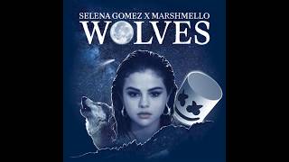 Wolves - Selena Gomez & Marshmello - Free Music Download