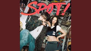 ZICO (지코) 'SPOT! (feat. JENNIE)' Official Audio