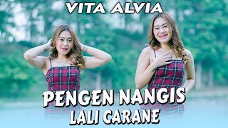 Vita Alvia - Pengen Nangis Lali Carane (Official Music Video)