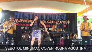 Sebotol Minuman Cover Rosna Agustina (LIVE SHOW CIKUYA CIPARANTI PANGANDARAN)