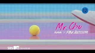 Apink 에이핑크 4TH MINI [Pink Blossom] 'Mr.Chu' (미스터 츄) M/V