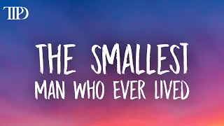 Taylor Swift - The Smallest Man Who Ever Lived (Lyrics)