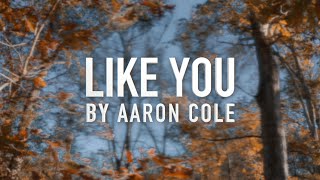 Like You by Aaron Cole [Lyric Video] feat. Tauren Wells & TobyMac