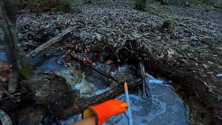 Well Look A Here! || BEAVER DAM REMOVAL In New Creek! S3 EP.3!