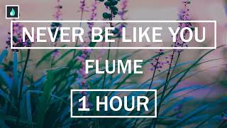 Never Be Like You  - Flume [1 HOUR]