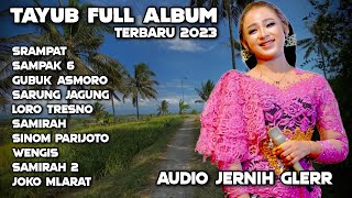TAYUB TERBARU FULL ALBUM 2023 - COCOK DI PUTAR BUAT HAJATAN - AUDIO JERNIH GLERR