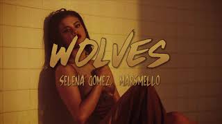 Selena Gomez, Marshmello-Wolves(Lyrics)