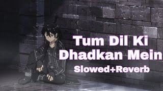 Tum Dil Ki Dhadkan Mein Rehte Ho (Slowed+Reverb) Bollywood Slowed And Reverb lofi songs