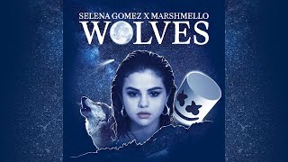 Selena Gomez and Marshmello - Wolves (Extended Radio Edit)