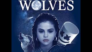 Selena Gomez, Marshmello - Wolves [MP3 Free Download]