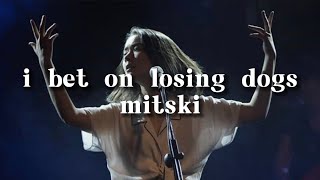 I Bet on Losing Dogs (Lyrics) - Mitski || mitski lyrics