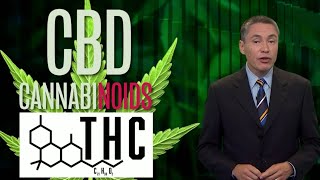 CBD 101: a lesson in cannabinoids