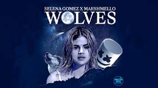 Selena Gomez, Marshmello   Wolves