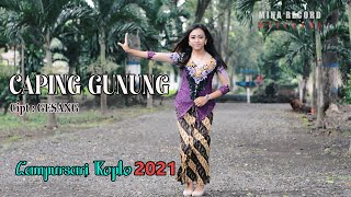 CAPING GUNUNG -  Koplo jandhut Campursari 2022 - ( Cover By Vina )