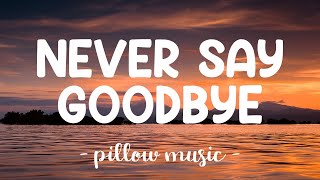 Never Say Goodbye - Bon Jovi (Lyrics) 🎵